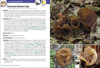 Mushrooms of the Upper Midwest: A Simple Guide to Common Mushrooms (2nd Edition, Revised)