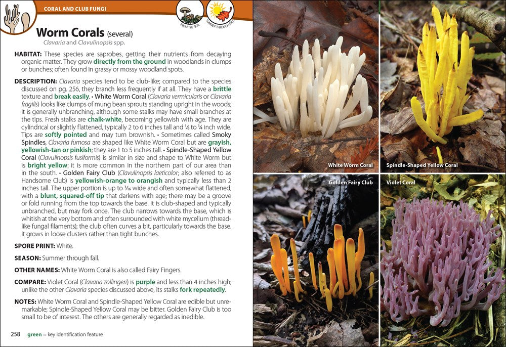 Mushrooms of the Upper Midwest: A Simple Guide to Common Mushrooms (2nd Edition, Revised)