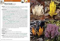 Mushrooms of the Upper Midwest: A Simple Guide to Common Mushrooms (2nd Edition, Revised)