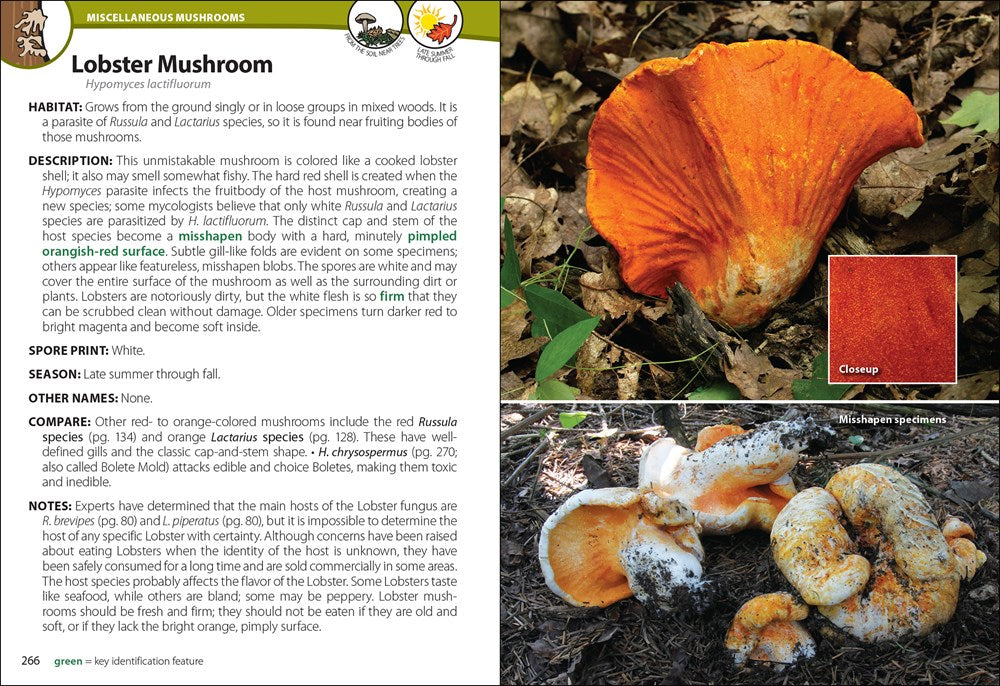 Mushrooms of the Upper Midwest: A Simple Guide to Common Mushrooms (2nd Edition, Revised)
