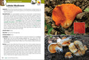 Mushrooms of the Upper Midwest: A Simple Guide to Common Mushrooms (2nd Edition, Revised)
