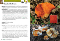 Mushrooms of the Upper Midwest: A Simple Guide to Common Mushrooms (2nd Edition, Revised)