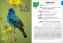 Birds of Ohio Field Guide  (3rd Edition, Revised)