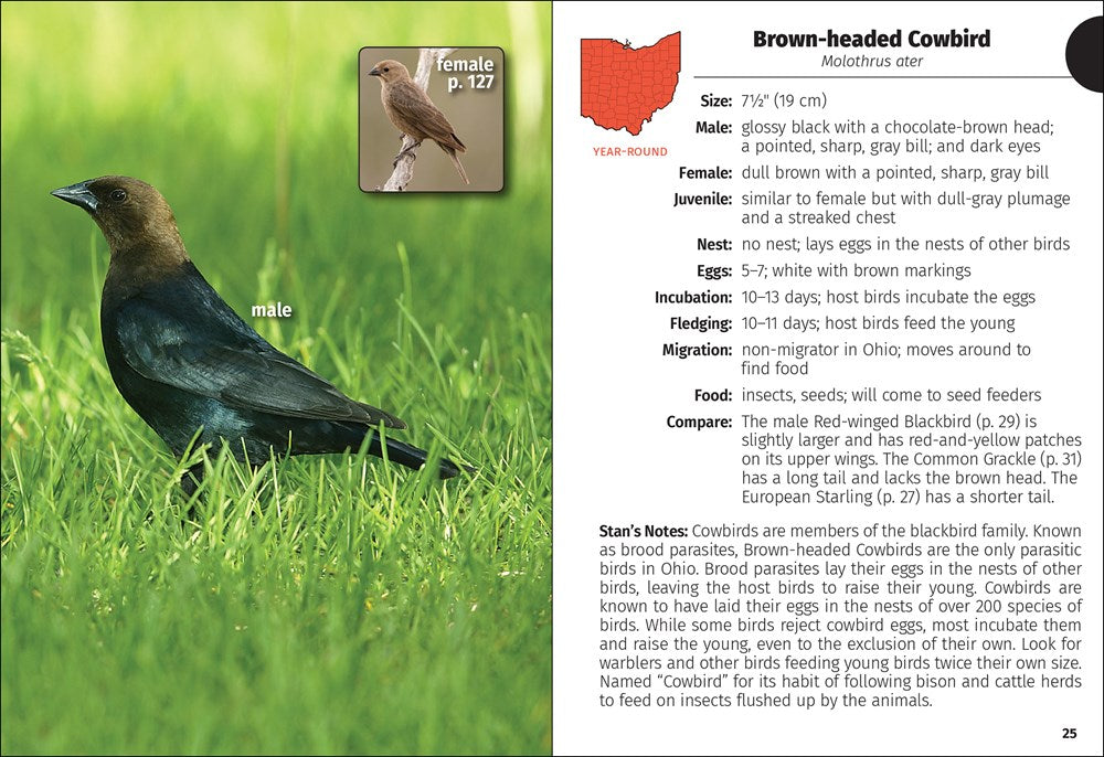 Birds of Ohio Field Guide  (3rd Edition, Revised)