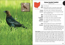 Birds of Ohio Field Guide  (3rd Edition, Revised)