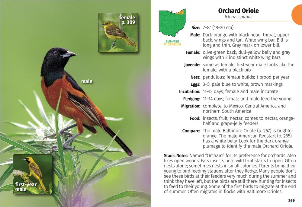 Birds of Ohio Field Guide  (3rd Edition, Revised)
