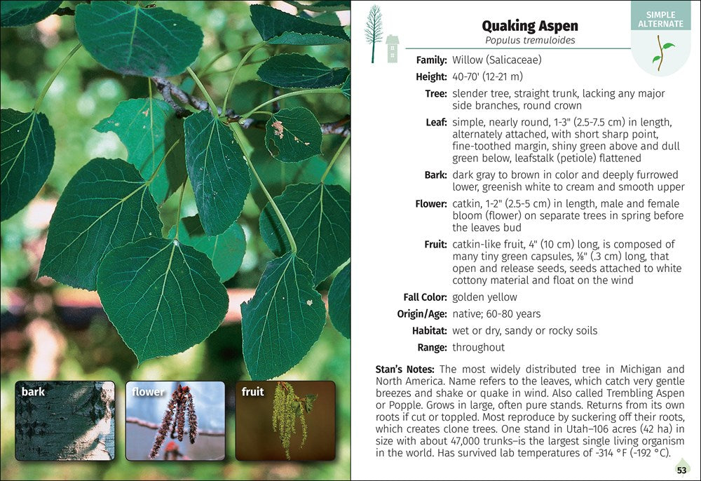 Trees of Michigan Field Guide