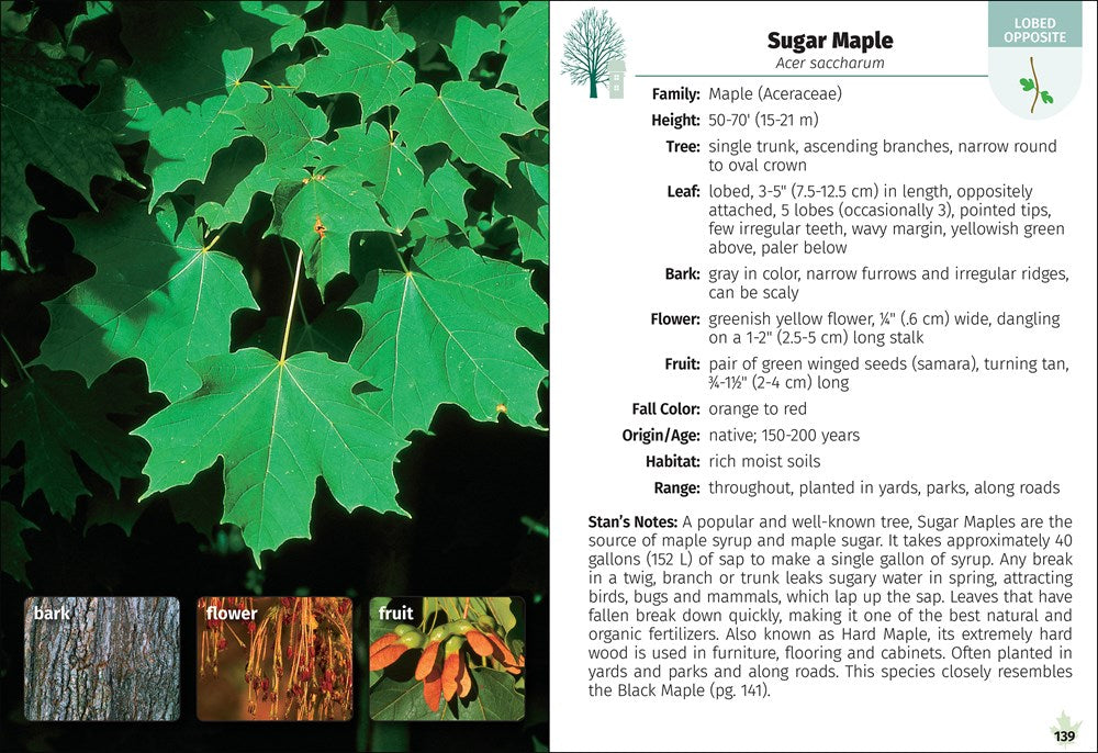 Trees of Michigan Field Guide