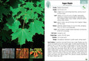 Trees of Michigan Field Guide