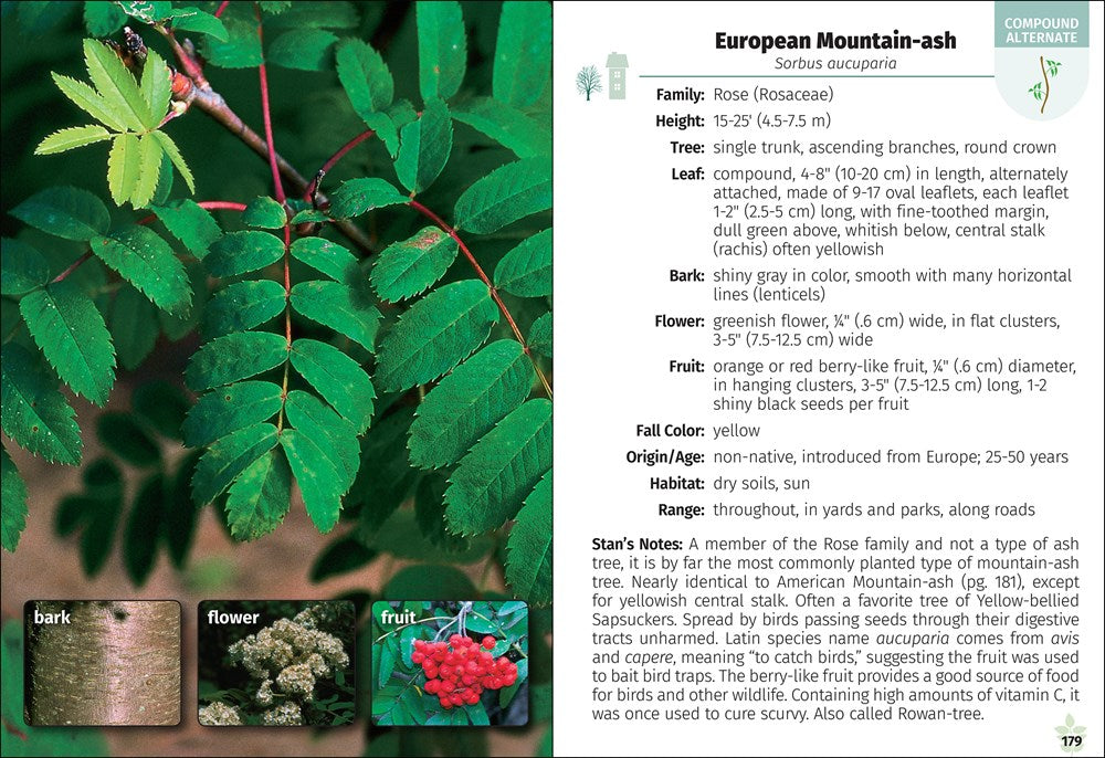 Trees of Michigan Field Guide