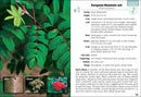 Trees of Michigan Field Guide