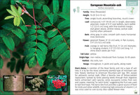 Trees of Michigan Field Guide