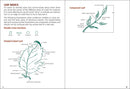 Trees of Michigan Field Guide