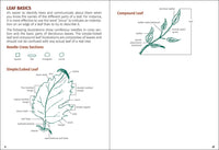 Trees of Michigan Field Guide