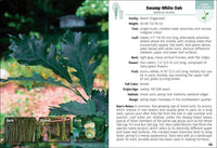 Trees of Minnesota Field Guide
