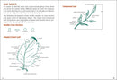 Trees of Minnesota Field Guide