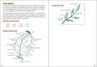 Trees of Minnesota Field Guide
