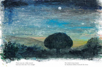 Every Color of Light