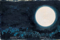 Every Color of Light