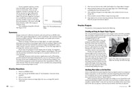 Automate the Boring Stuff with Python, 2nd Edition: Practical Programming for Total Beginners