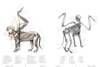 The Resurrectionist: The Lost Work of Dr. Spencer Black