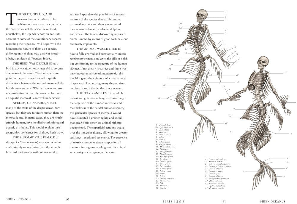 The Resurrectionist: The Lost Work of Dr. Spencer Black