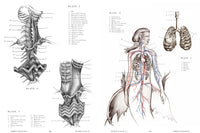 The Resurrectionist: The Lost Work of Dr. Spencer Black