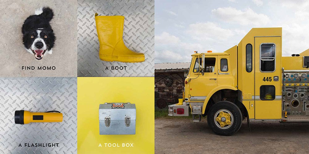 Let's Find Momo!: A Hide-and-Seek Board Book