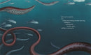 Giant Squid