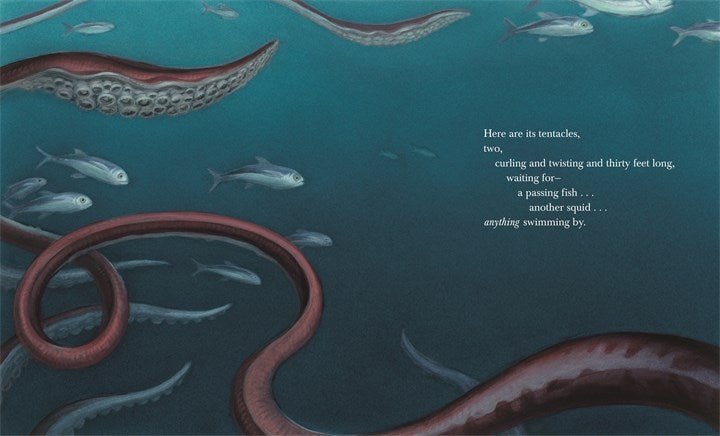 Giant Squid