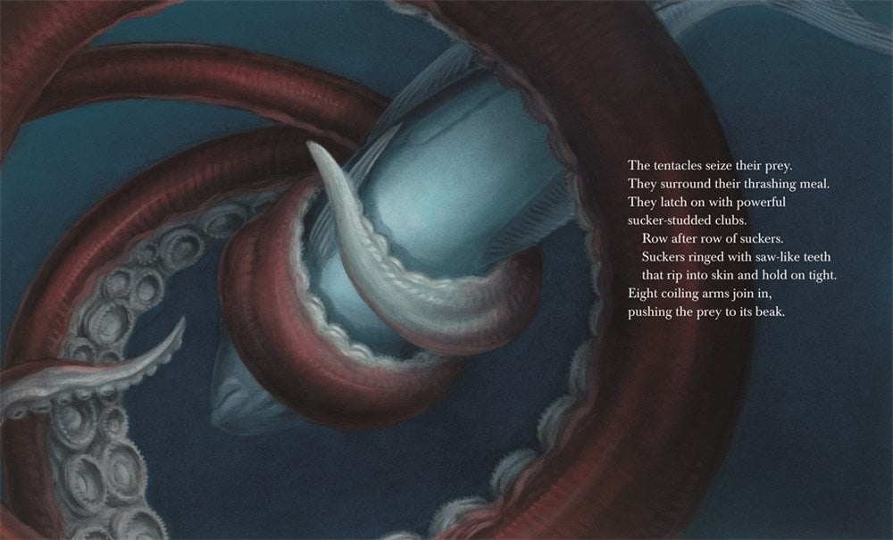 Giant Squid