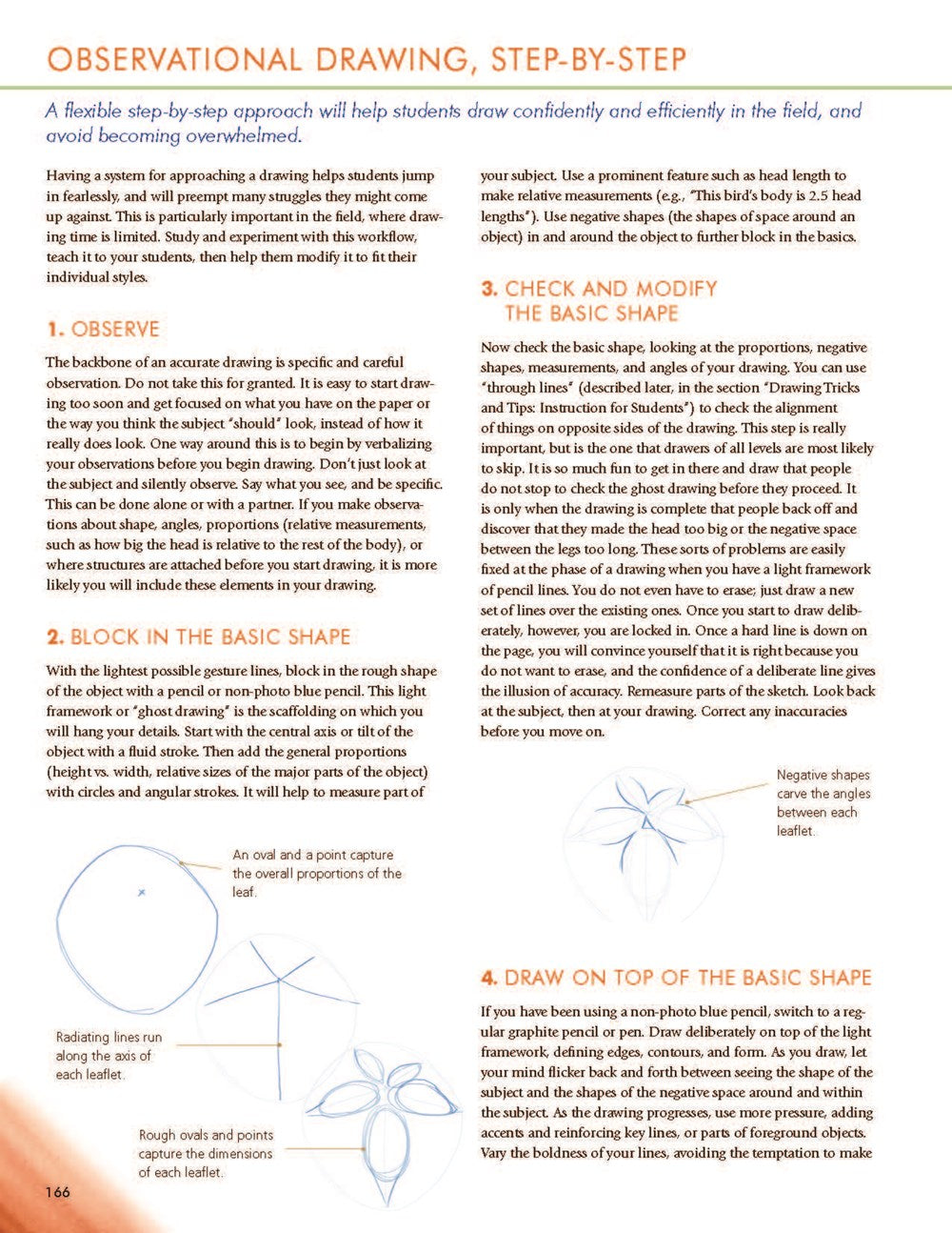 How to Teach Nature Journaling