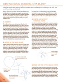 How to Teach Nature Journaling