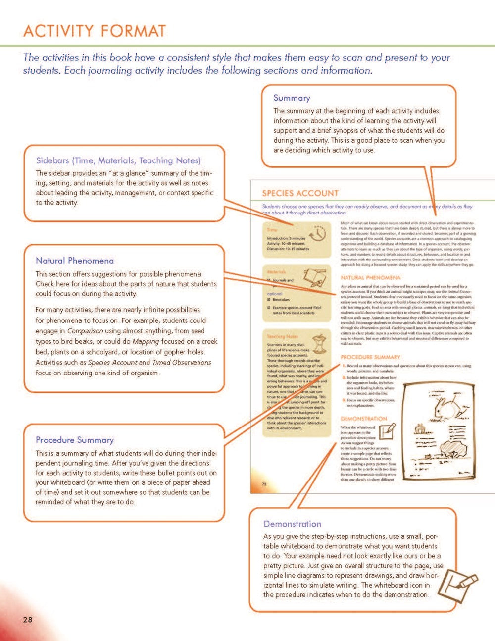 How to Teach Nature Journaling