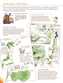 How to Teach Nature Journaling