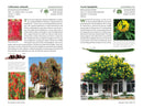 A Californian's Guide to the Trees Among Us
