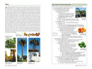 A Californian's Guide to the Trees Among Us