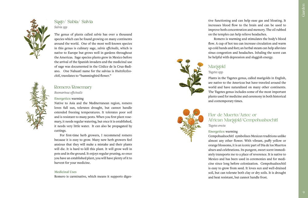 The Curanderx Toolkit