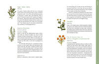 The Curanderx Toolkit