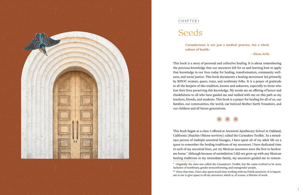 The Curanderx Toolkit