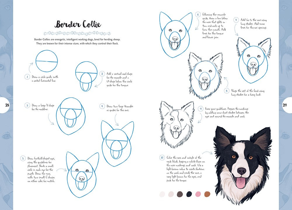 Ten-Step Drawing: Dogs