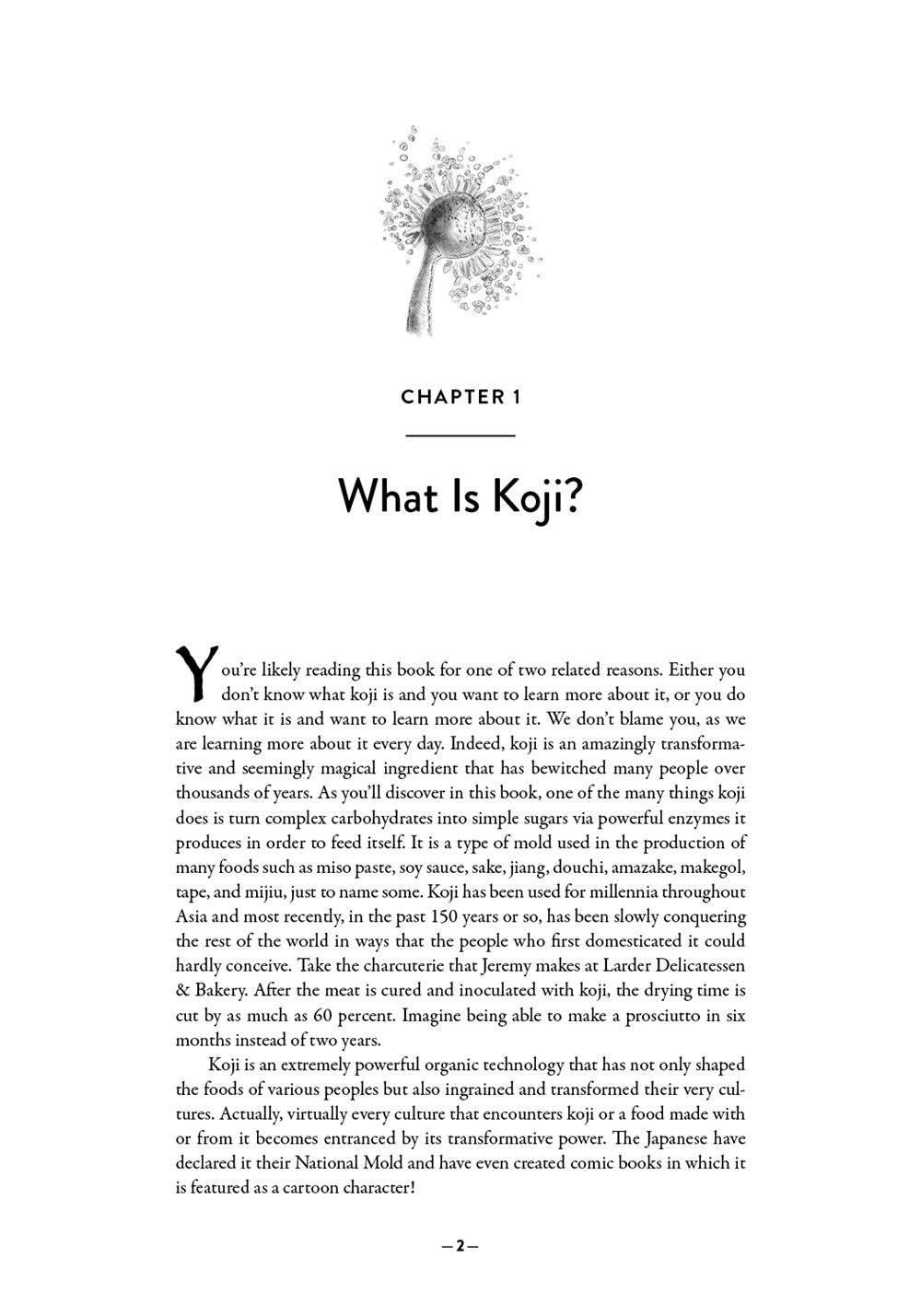 Koji Alchemy