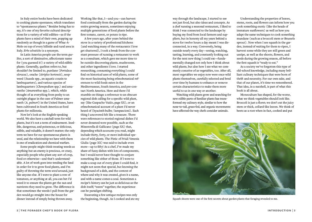 The Forager Chef's Book of Flora