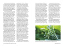 The Forager Chef's Book of Flora