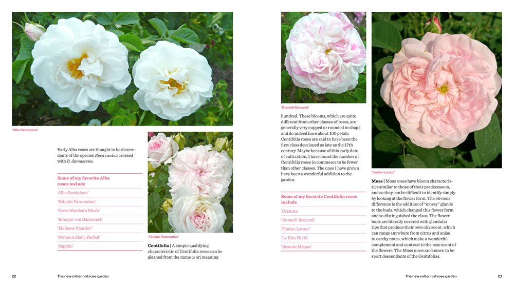 Roses Without Chemicals