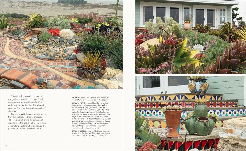 Hot Color, Dry Garden