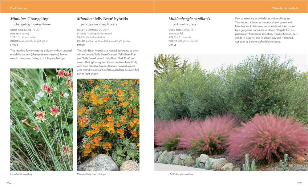 Hot Color, Dry Garden