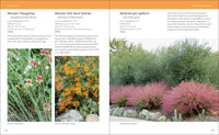 Hot Color, Dry Garden