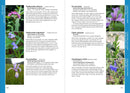 Wildflowers of New England