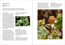 Southwest Foraging